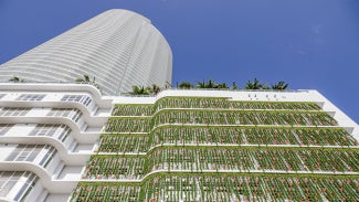 A building with plants on the side